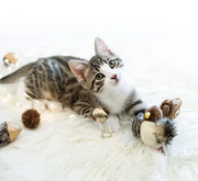 Bird Cat Toy for Indoor, Interactive Catnip Toys, Simulated Chirping Flapping Wings Bird, Upgrade Plush Kitten Exercise Toys