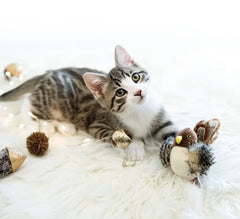 Bird Cat Toy for Indoor, Interactive Catnip Toys, Simulated Chirping Flapping Wings Bird, Upgrade Plush Kitten Exercise Toys