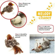 Bird Cat Toy for Indoor, Interactive Catnip Toys, Simulated Chirping Flapping Wings Bird, Upgrade Plush Kitten Exercise Toys