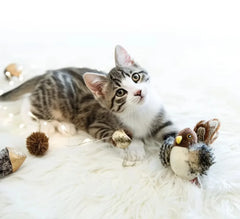 Bird Cat Toy for Indoor, Interactive Catnip Toys, Simulated Chirping Flapping Wings Bird, Upgrade Plush Kitten Exercise Toys