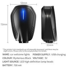 2pcs Angel Wings  Rechargeable Led Car